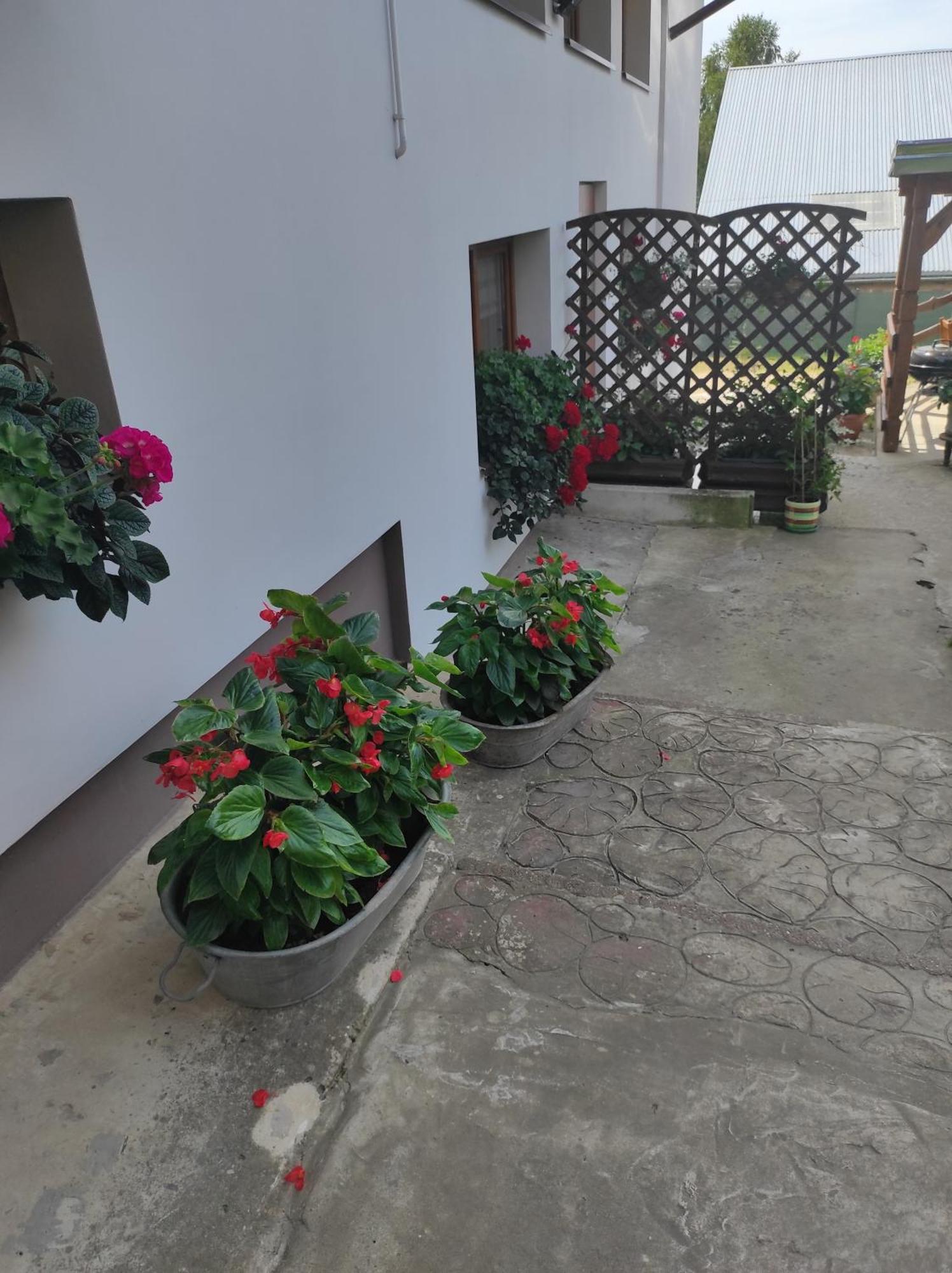 Stadnina Koni Tarka Zwierzyniec Exterior foto