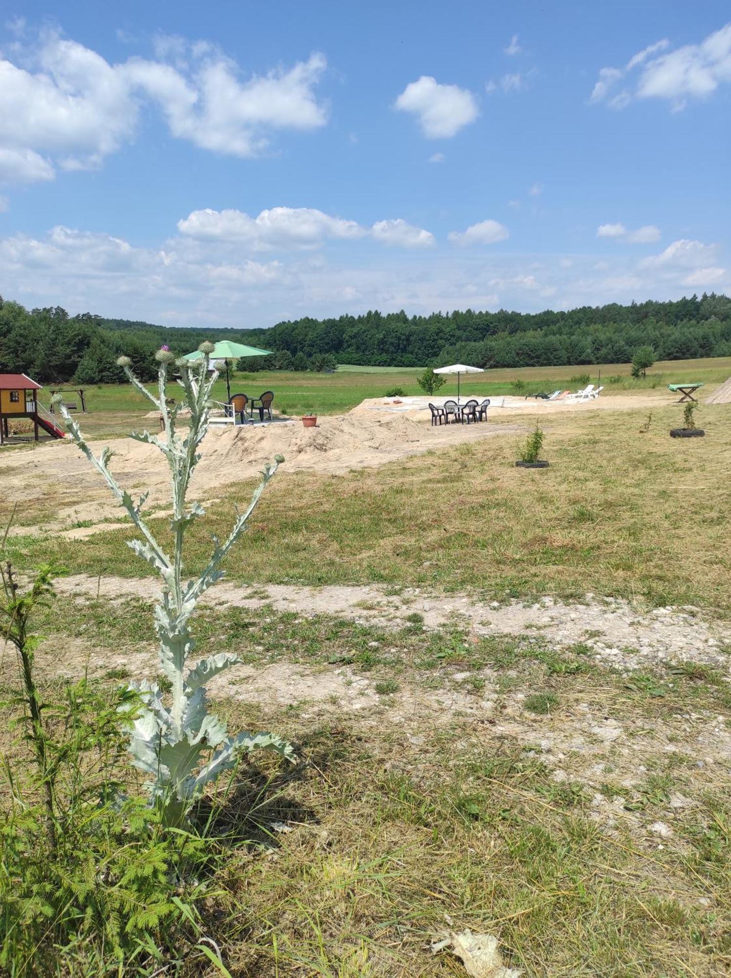 Stadnina Koni Tarka Zwierzyniec Exterior foto