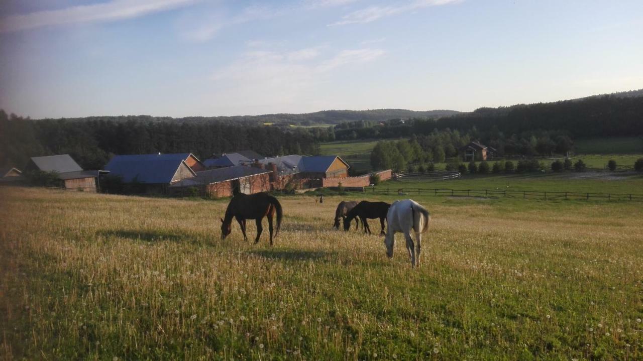 Stadnina Koni Tarka Zwierzyniec Exterior foto